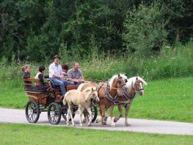 Kutschfahrt.jpg