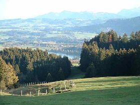 Seeblick.jpg