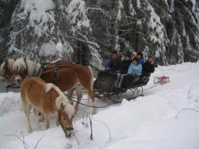 Winterkutschfahrt.JPG